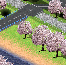 sakura_tree.png